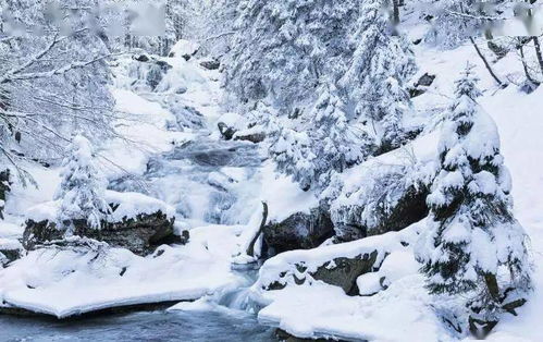 描寫雪景的詩句和古詩