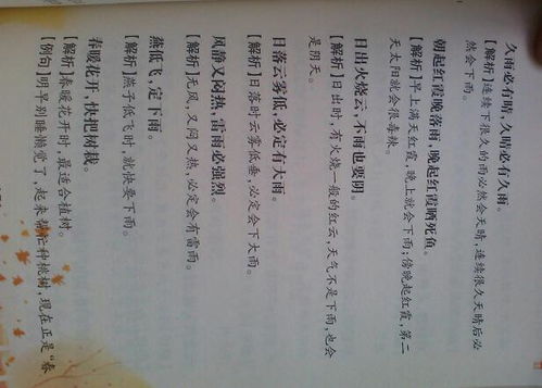 關(guān)于貓的成語和歇后語和詩句,關(guān)于貓的成語歇后語和詩句各寫一個,關(guān)于貓的成語歇后語和詩句各一個