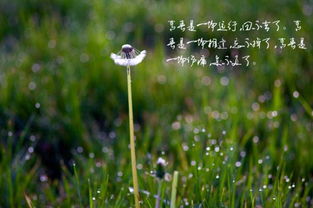 關于無足輕重的足的詩句