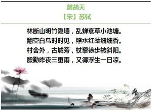描寫夏天的詩句古詩三