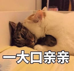 關(guān)于不思進取的的詩句