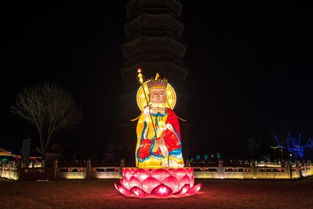 關(guān)于描寫燈展的詩句