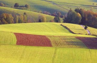 詩句,牽掛,遠(yuǎn)方,愛人