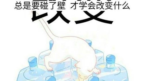 真誠(chéng)相待的古詩(shī)句