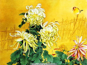 意象,詩句,菊花,品質(zhì)