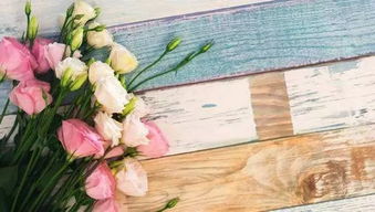 關于苦樂的詩句大全