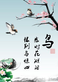 關(guān)于鳥古詩(shī)句子