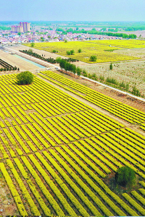 關(guān)于描寫(xiě)生態(tài)環(huán)境的詩(shī)句