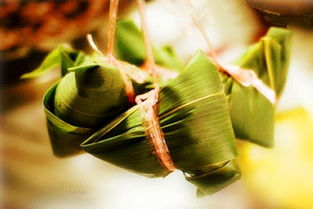 關(guān)于粽子的詩(shī)句大