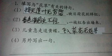 關于花草詩句2句