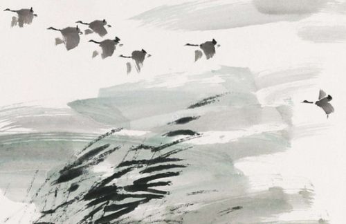 關(guān)于雁南飛的詩句