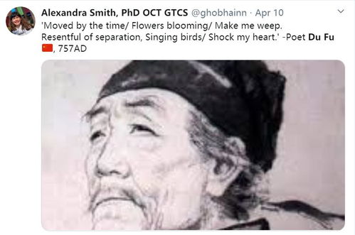 古詩帶有孤雁的詩句