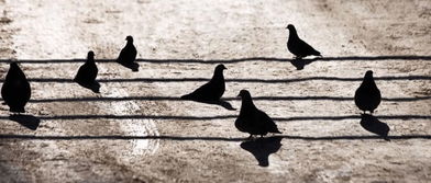 關(guān)于在戰(zhàn)場(chǎng)上打仗的詩句