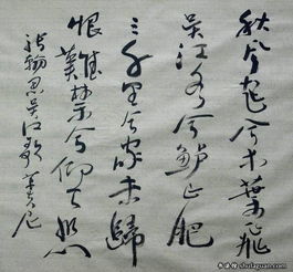 關(guān)于思鄉(xiāng)的一句詩句是什么