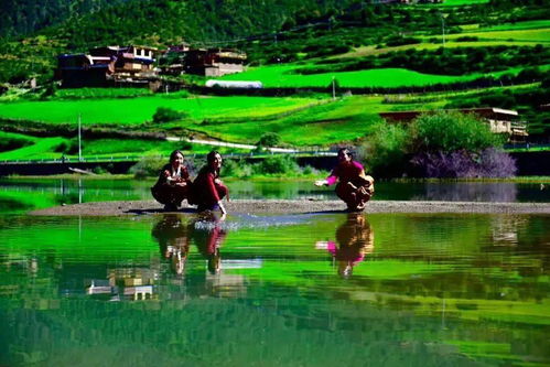 關(guān)于山和草地的詩(shī)句