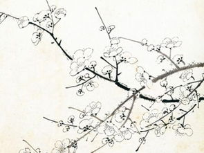 關于梅花的詩句及意