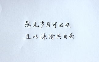 傷感古詩句事業(yè)不順