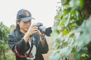 關(guān)于有名葡萄的詩(shī)句