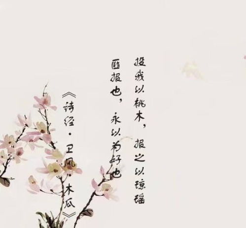 詩(shī)經(jīng)很美的古詩(shī)句
