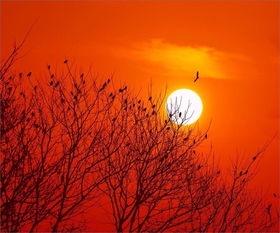 詩句,世事,滄桑,變化