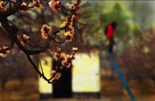 詩(shī)句,配圖,于春