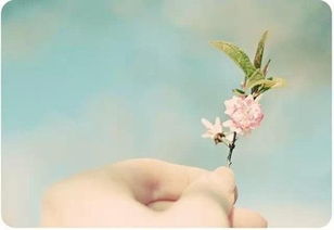 關(guān)于春天的氣溫的詩(shī)句