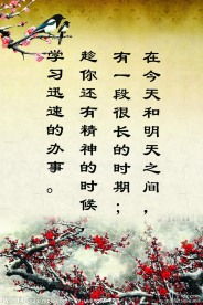 關(guān)于花的名言警句或詩(shī)句