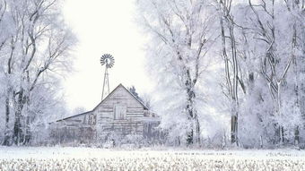 關(guān)于雪天浪漫的詩句