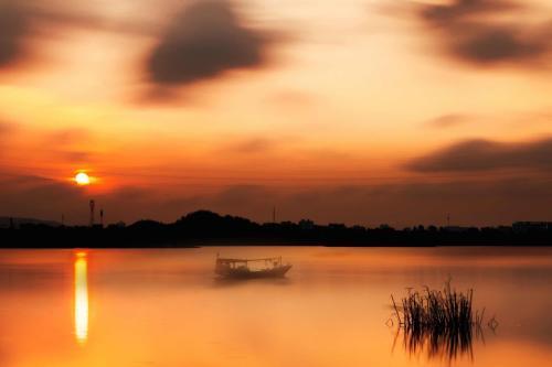 思鄉(xiāng),寫到,詩句