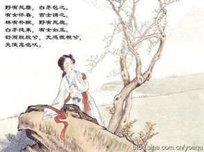 詩經(jīng)中關(guān)于其的詩句