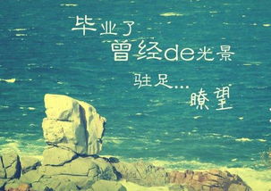 關(guān)于畢業(yè)青春的詩句