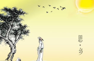 關(guān)于故鄉(xiāng)情的詩句古詩