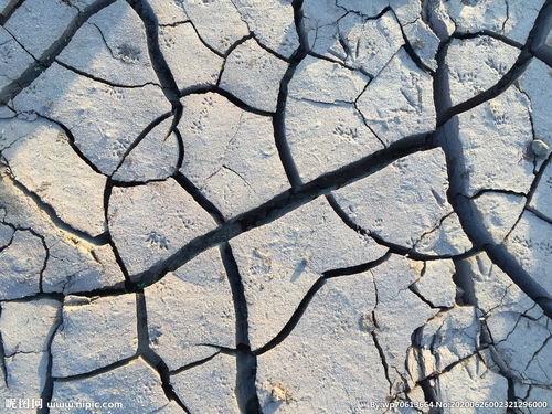 干涸,詩句,土地