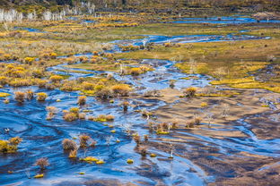 秋天草原詩句古詩