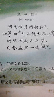 詩(shī)句,想要,專業(yè)