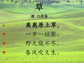 六級關于草詩句