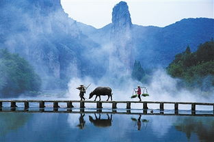 關(guān)于詠仙都的詩句作品