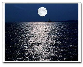 寫大海明月的古詩句