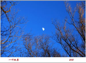 關于正月十五思鄉(xiāng)的詩句