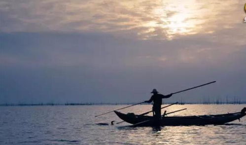 欲濟無舟楫是關于愛國的詩句嗎