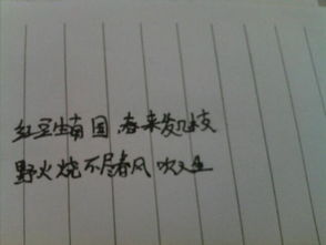 古詩(shī)中有冬字的詩(shī)句