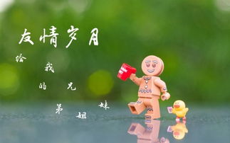 關(guān)于友誼的配圖唯美詩句