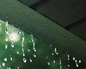 關(guān)于雨水的和詩(shī)句