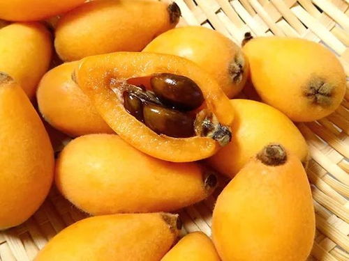 關(guān)于春天水果枇杷的詩句