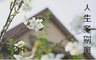 六級,詩句,離別