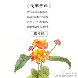 搜索關(guān)于李商隱的詩(shī)句