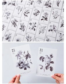 關(guān)于草木的詩句古詩,描寫春天的詩句古詩,描寫荷花的詩句古詩