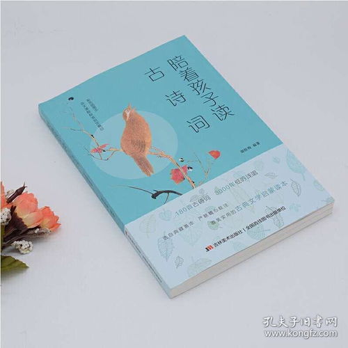 古詩,詩句,小學(xué)生,詞中