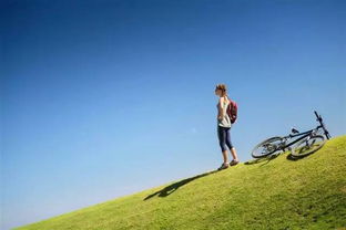 關(guān)于理財(cái)保險(xiǎn)的詩(shī)句