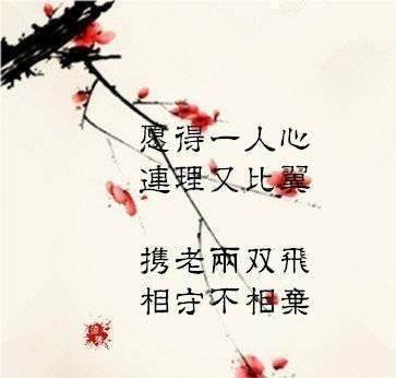 關(guān)于如霜的詩(shī)句